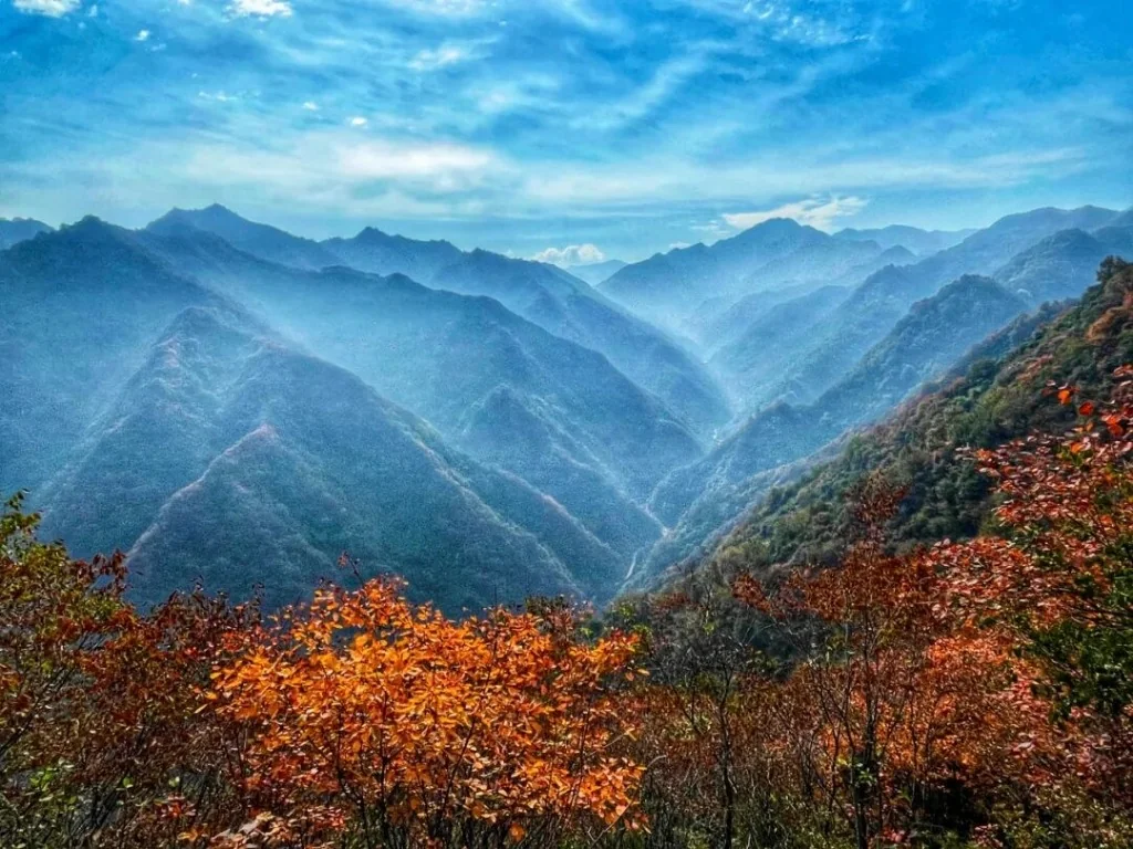 Autumn foliage in Qinling